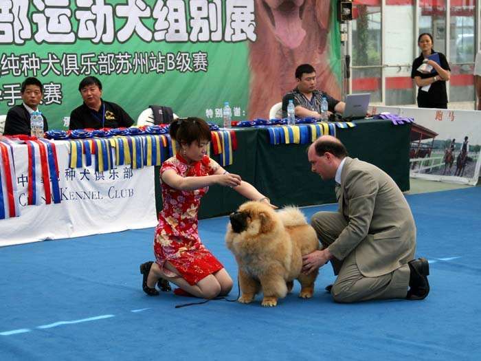 09.5.10第三届苏州国际名犬展战神获全场总冠军BIS