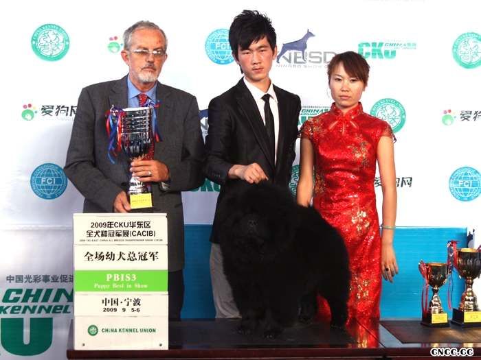 09.9.5FCI全犬种国际冠军展CACIB黑牛获全场总冠军