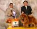 04年CASH现金获得BKC松狮犬单独展全场总冠军BISS图片