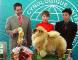 2006FCI全犬种中国冠军展松狮犬冠军FIRST SUNNY图片