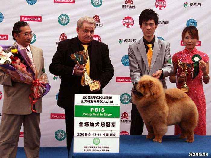 08年9月14日LEADER获西安FCI国际冠军展全场总冠军图片