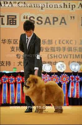 09年3月6日上海佛爷获得全场总冠军BIS和超级BIS