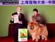 2010年3月13日上海宠物大会战神获非运动组冠军