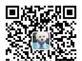 云南买狗卖狗专业养犬场常年出售哈士奇小狗图片