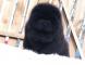 出售纯种松狮犬黑色松狮幼犬公犬价格图片